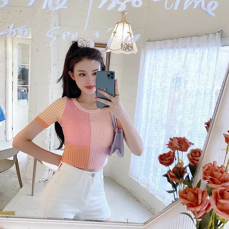 Plus Size Color Block Short Sleeve Knit T-Shirt 4