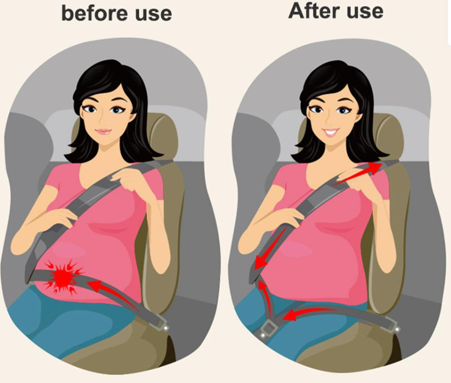 seat belt 6