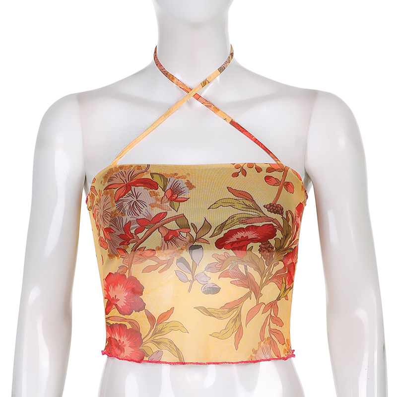 Vintage Printed Mesh Lace-Up Cropped Bandeau Top 4